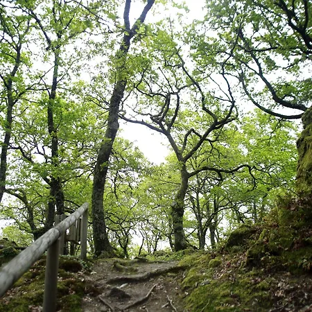 De Santo Estevo فندق 4*