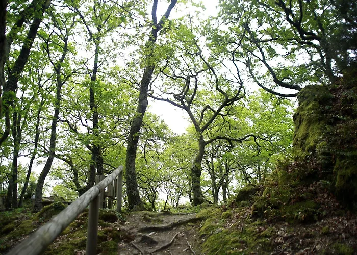 圣艾斯特沃旅馆 酒店 4*